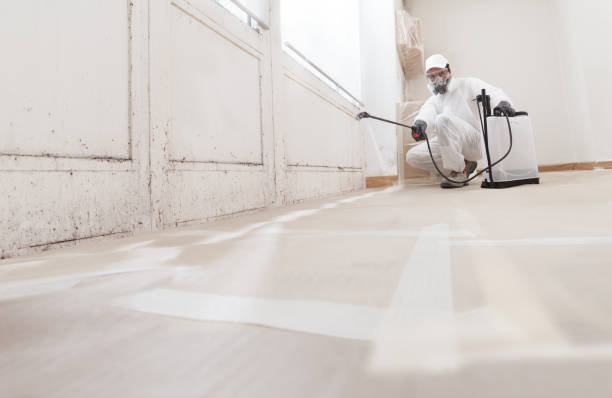 24/7 Emergency Commercial Mold Remediation experts in Elizabethtown, NC